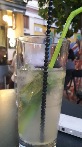 Comentarii opinii despre Rooster