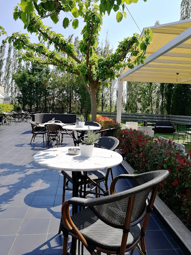 "Elite" Φ. Ντάνος - Πάτρα