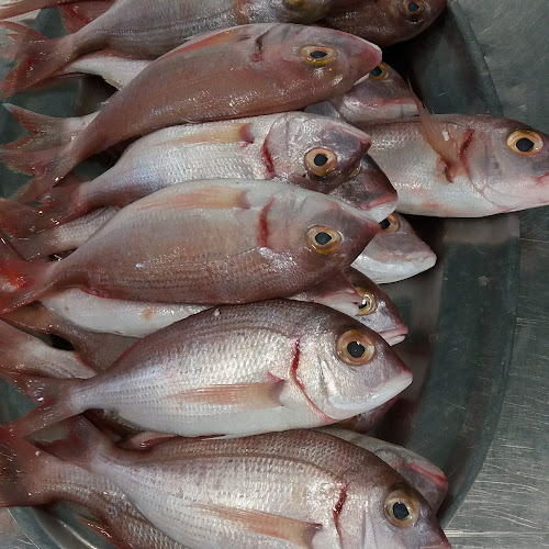 Λεωφ. Γ. Γρέγου 37, Πόρτο Ράφτη 190 03