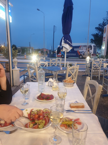 “Η Ψαροπούλα” Τερτιβανίδης