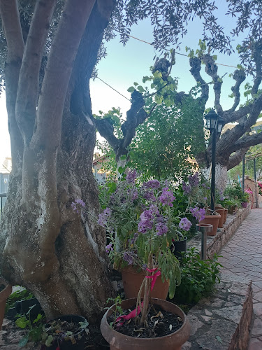 Χασαποταβέρνα Ο Τάσος - Γαστρονομία και φιλοξενία