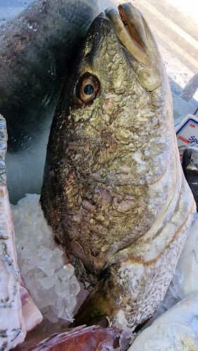 Λεωφ. Λαυρίου 9, Λεοντάριο 153 51