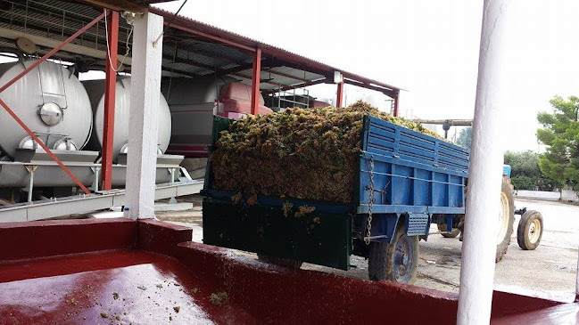 ΑΓΡΟΤΙΚΟΣ ΑΜΠΕΛΟΥΡΓΙΚΟΣ ΣΥΝΕΤΑΙΡΙΣΜΟΣ ΠΑΙΑΝΙΑΣ - Παιανία