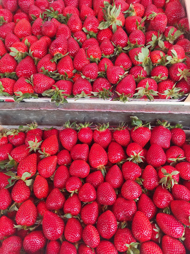 Λαϊκή αγορά Νεάπολης - Θεσσαλονίκη