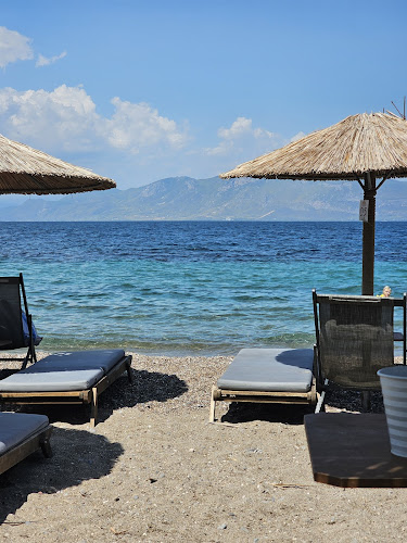 Comentarii opinii despre Cactus The Sunny Bar