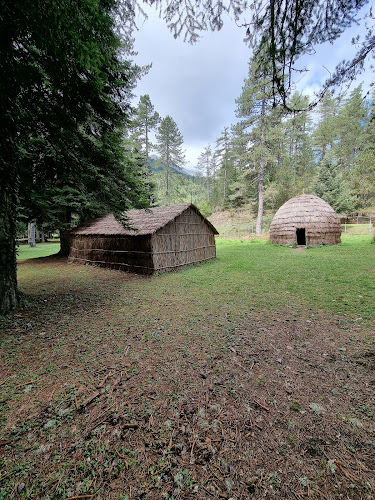 Comentarii opinii despre Στανη