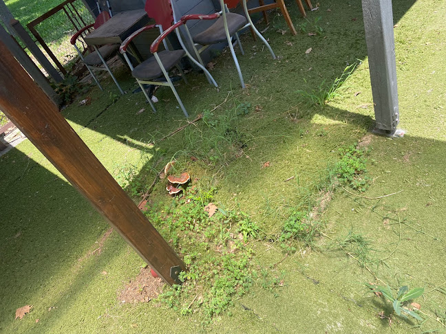 House Garden - Γαστρονομία και φιλοξενία