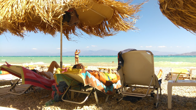 Comentarii opinii despre Le Petit