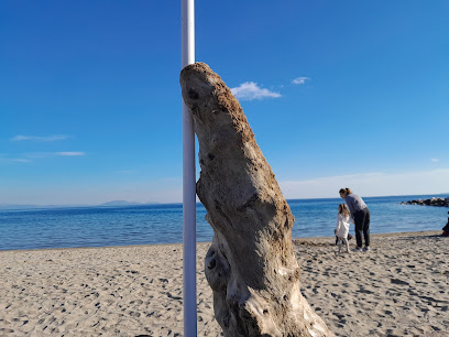 εστιατοριο ο ψαρας