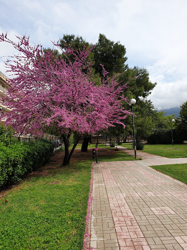 Καφέ Πάρκο - Γαστρονομία και φιλοξενία