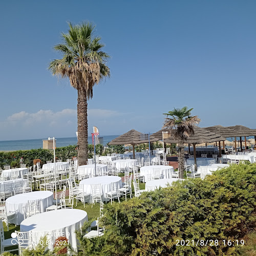 Unnamed Road, Φάρσαλα 415 00