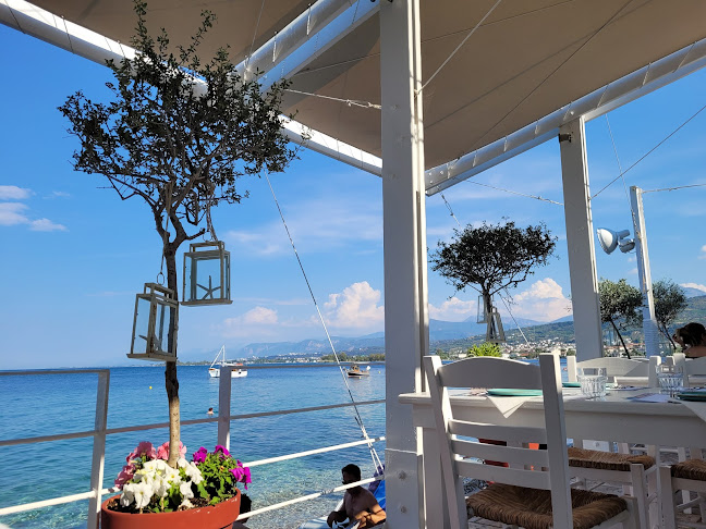 Ανώνυμο Cafe-bar-restaurant - Λόγγος