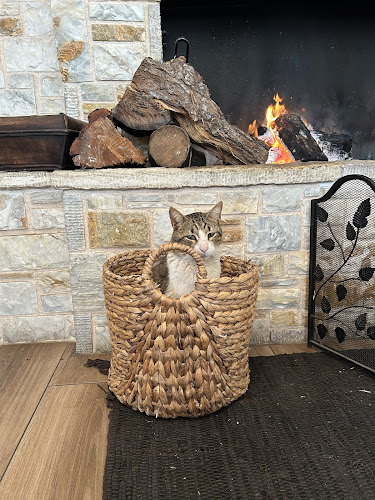 Ταβέρνα Ο Λουλάς