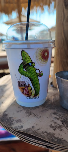 Comentarii opinii despre Cactus