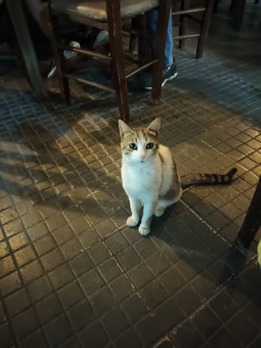 Comentarii opinii despre Ψησταριά Ο Κρουσταλακης