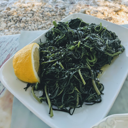 Comentarii opinii despre ΑΛΜΥΡΙΚΙ