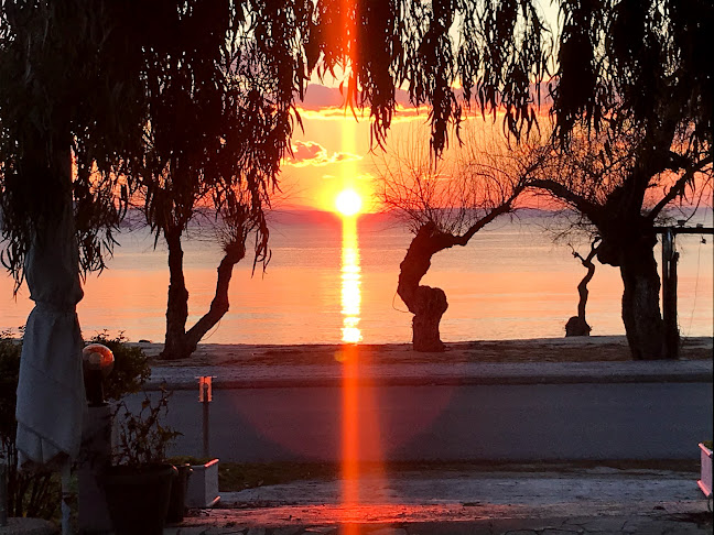 Νέος Μαρμαράς 630 81