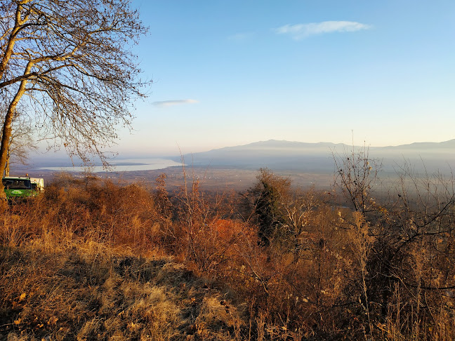 Opinii despre Η Πλαγιά Του Μπέλες în Άνω Πορόια - Γαστρονομία και φιλοξενία