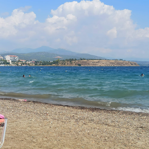 Στην Λαδόκολλα - Χαλκίδα