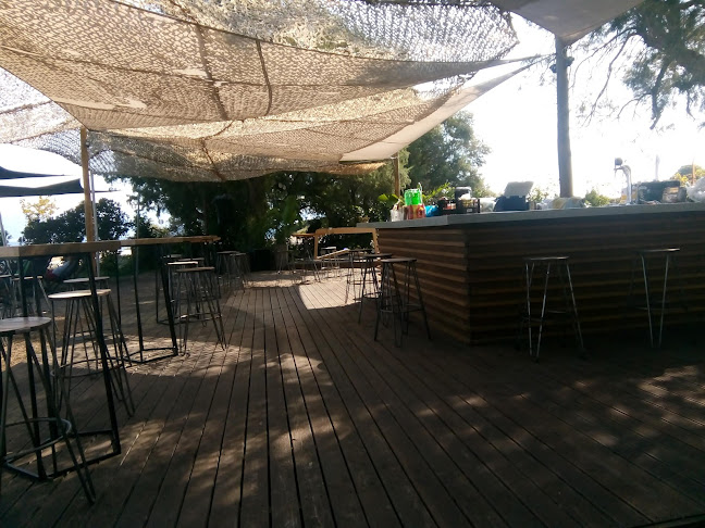 Cactus The Sunny Bar - Γαστρονομία και φιλοξενία