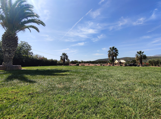 Comentarii opinii despre Zoo Café Restaurant