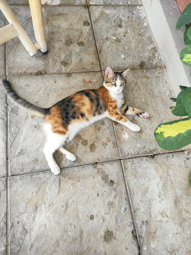 Καφέ Τερπνό - Γαστρονομία και φιλοξενία