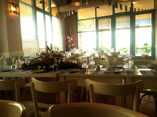 Ακτή Τότη Χατζή, Αίγινα 180 10