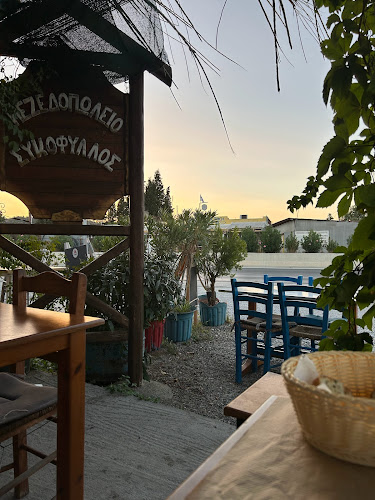 Comentarii opinii despre Φαγάδικο Συκόφιλος