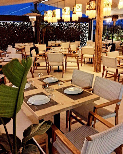 Comentarii opinii despre Azuro