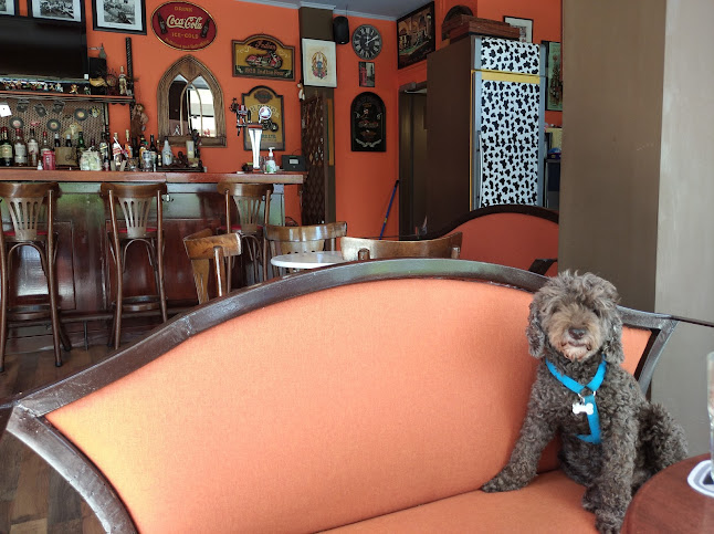 Comentarii opinii despre Mosquito Rock Cafe Bar