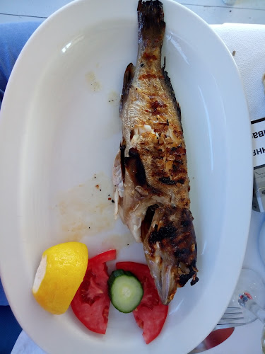 Κουτσουνάρι 722 00