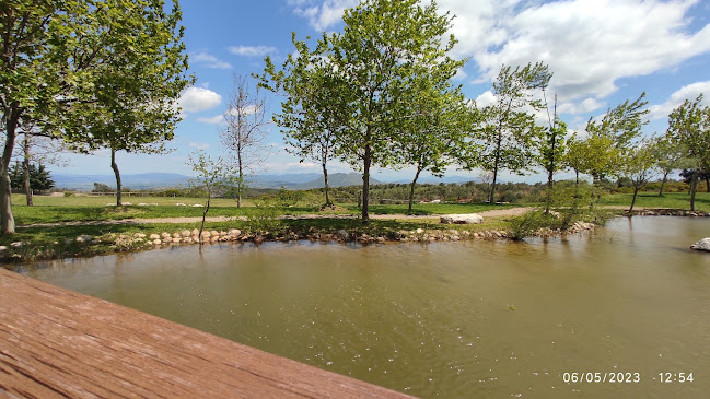 Ησιόδου, Θήβα 320 02