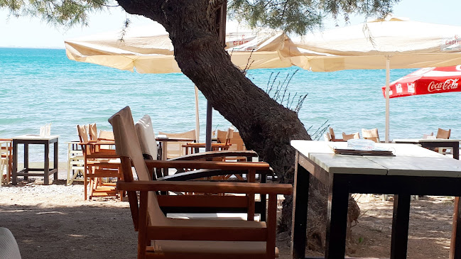 Opinii despre Santa Maria beach bar în Χαλκούτσι - Γαστρονομία και φιλοξενία