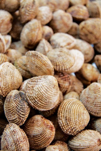 Kavourakia chania - Χανιά