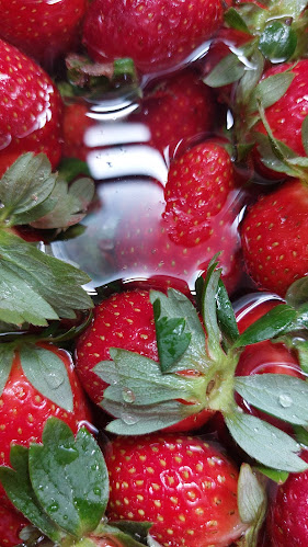 Opinii despre Portokali în Αργάσι - Γαστρονομία και φιλοξενία