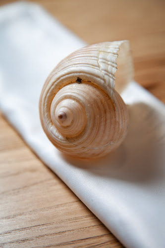 Opinii despre Trizoni Exclusive în Θεσσαλονίκη - Γαστρονομία και φιλοξενία