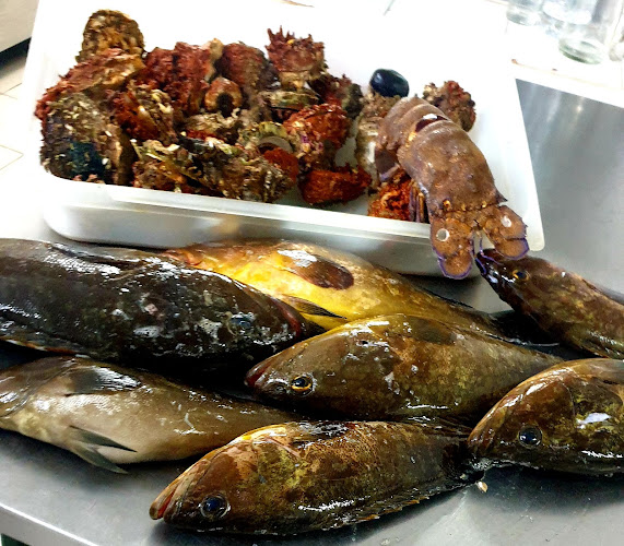 Χατζηκέλη - Ψαροταβέρνα