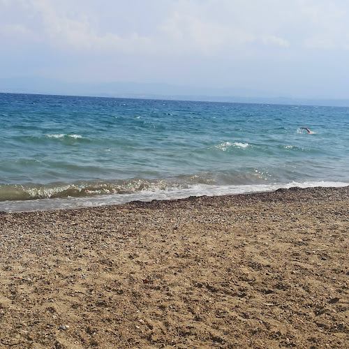 Στην Λαδόκολλα - Γαστρονομία και φιλοξενία