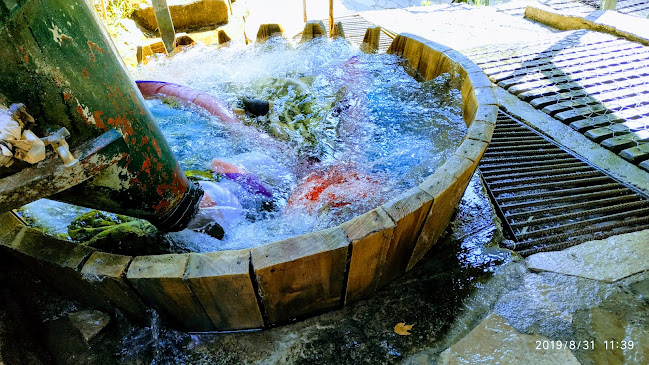 Opinii despre Ταβέρνα Δριστέλα în Λάρισα - Γαστρονομία και φιλοξενία