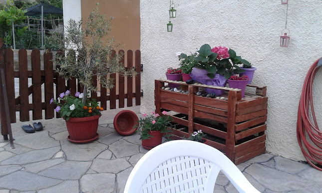 Ταβέρνα Μέγας Αλέξανδρος (Restaurant Megas Alexandros Zarkadia) - Καβάλα