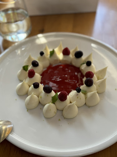 Βρεγμένη Γάτα