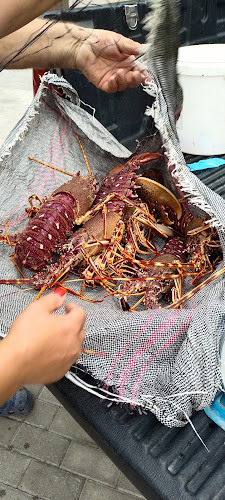 Comentarii opinii despre Del Mare Cuisine