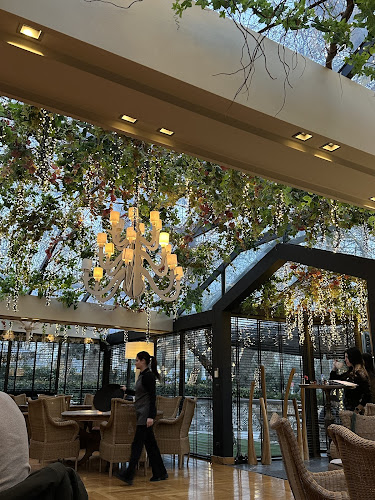 Comentarii opinii despre Best Friends