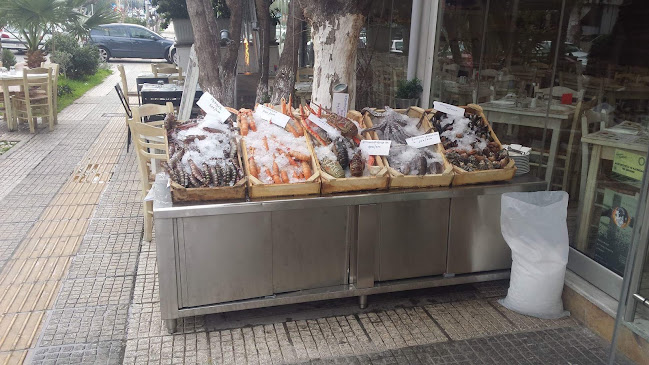 ΑΛΑΡΓΙΝΟ ΡΑΚΑΔΙΚΟ - Αργυρούπολη