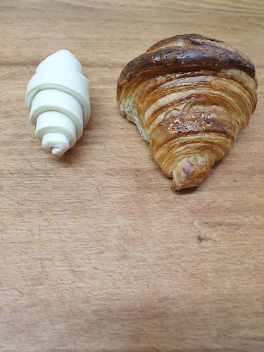 Ρίζος Ελαια-Φούρνος - Αθήνα