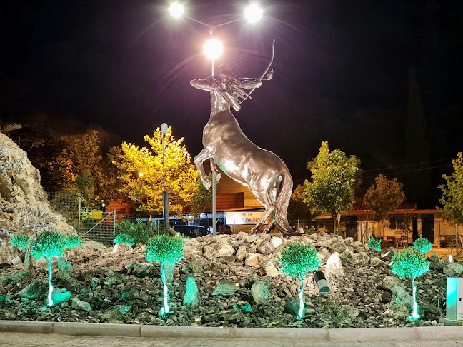 Comentarii opinii despre ΟΜΙΛΟΣ ΑΚΤΗ ΝΟΒ