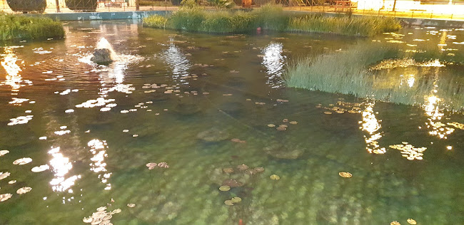 Comentarii opinii despre Επίγειον