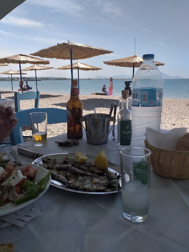 Comentarii opinii despre Ψαροταβέρνα Ο Παράδεισος