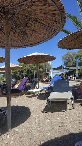 Opinii despre Cactus The Sunny Bar în Αρκίτσα - Γαστρονομία και φιλοξενία