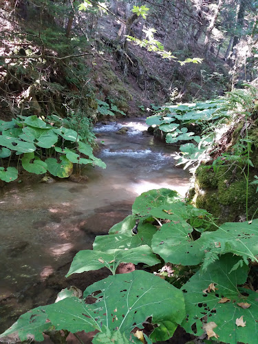 Opinii despre Ταβέρνα Δροσιά în Αμφίκλεια - Γαστρονομία και φιλοξενία